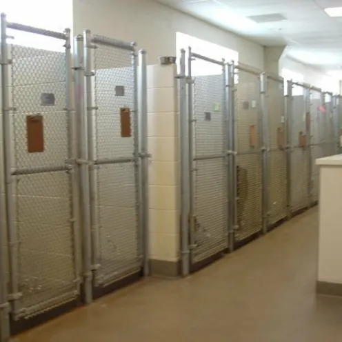 Windhaven Veterinary Hospital Boarding Area and large kennels